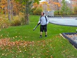Leaf removal by blower.